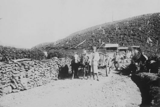 5 pekerja perkebunan kina dan teh di sedep priangan siap untuk memuat potongan kayu kina 1920 e28093 1940 collectie tropenmuseum